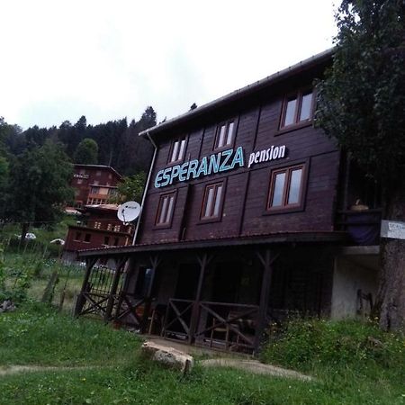 Esperanza Apart & Pension Guest House Ayder Yaylasi Ngoại thất bức ảnh
