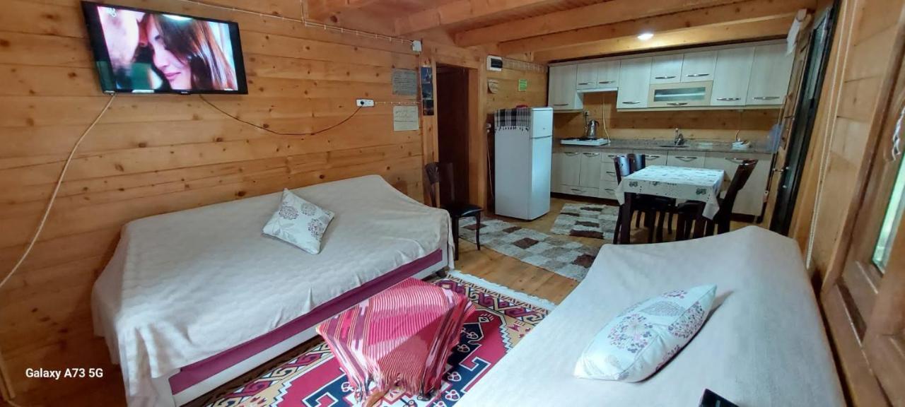 Esperanza Apart & Pension Guest House Ayder Yaylasi Ngoại thất bức ảnh
