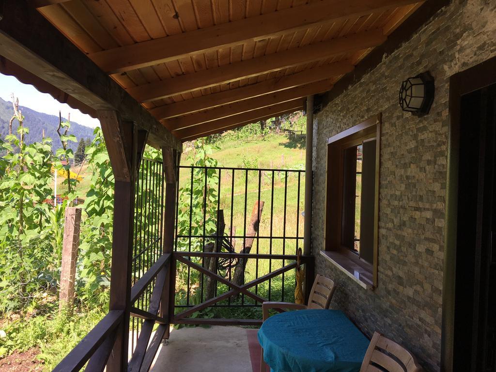 Esperanza Apart & Pension Guest House Ayder Yaylasi Ngoại thất bức ảnh