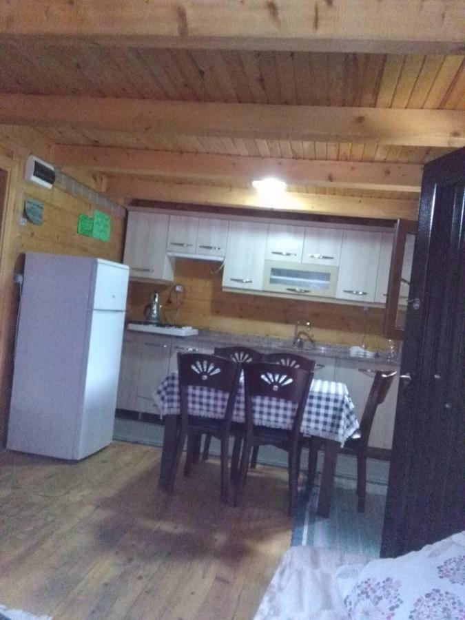 Esperanza Apart & Pension Guest House Ayder Yaylasi Ngoại thất bức ảnh